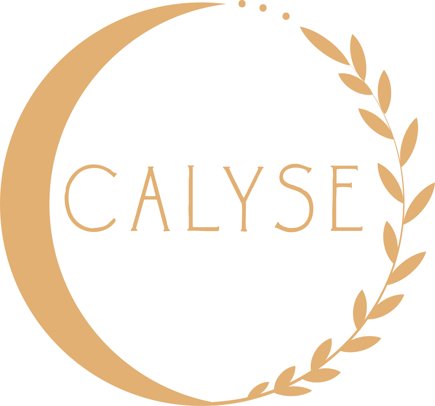 Calyse